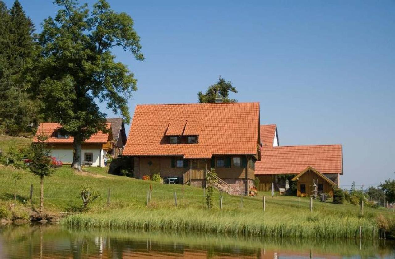 Ferienhof Kienbronnerhof Schiltach Exterior photo